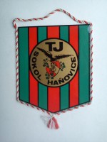 /album/hanovice/hanovice-tj-sokol-16-jpg/
